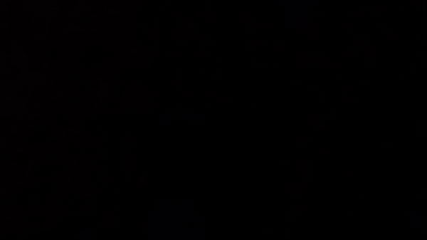 Sonidos ricos de la noche 