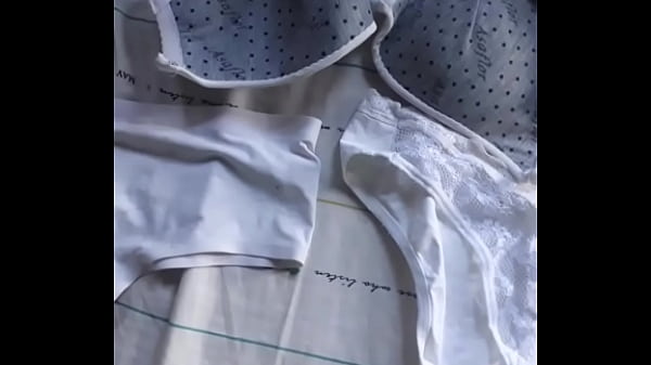 Todas las bragas que robe 