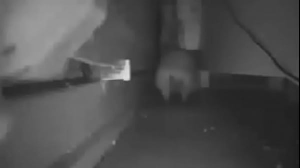 Nonton Cursed Video thumbnail