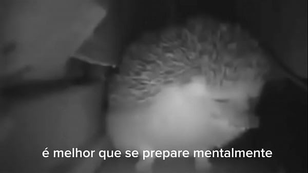 Cursed video  123456Next SEXBOKEP adalah Website Bokep Indonesia Terbaru dan Terlengkap Gratis dimana Anda dapat menonton streaming video bokep dan download vidio bokep terbaru yang sedang viral dengan aplikasi bokep android, Aplikasi bokep free download simontok app terbaru 2026 for PC Mobile Online dan HP     Contact Us   DMCA   Disclamer   Privacy and Policy   Conditions of Use  &copy; 2026 SEXBOKEP All rights reserved