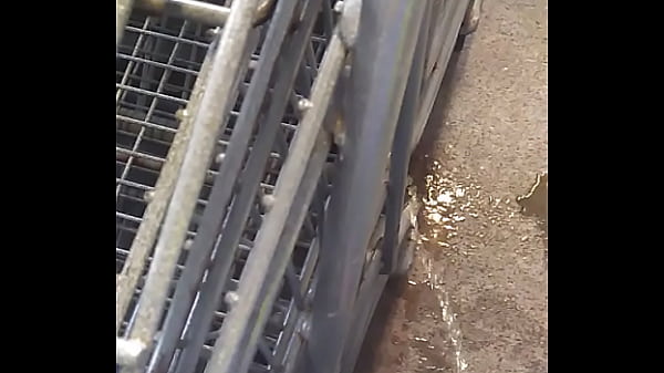 Play MP4 - piss at work