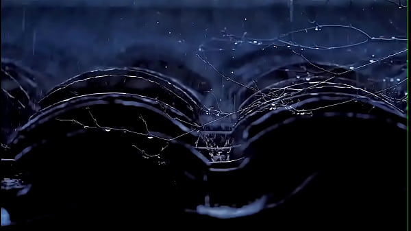 验证视频 thumbnail