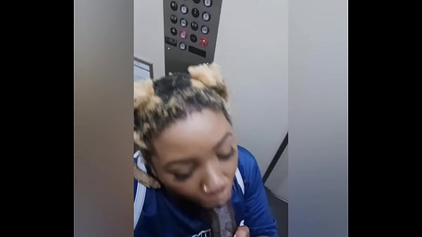 Play MP4 - Ebony tries not to get caught on the elevator sucking dick all the way to 13th floor