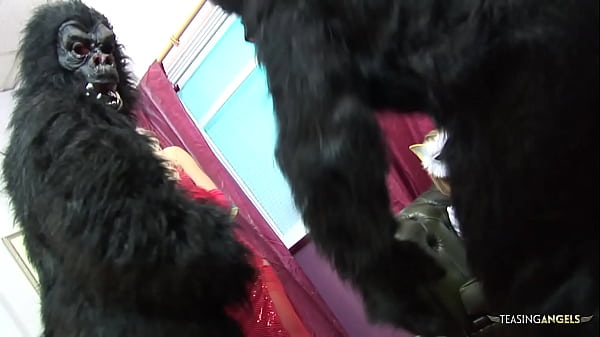 Nothing makes these blonde chicks happier than pleasing two guys in gorilla suits by sucking their delicious dicks before getting their tight pussies screwed hard