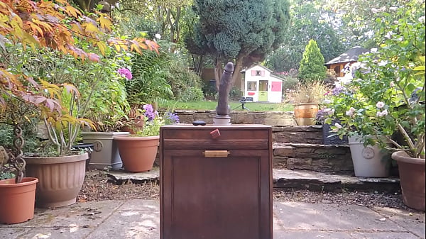 Play MP4 - Outdoor anal play