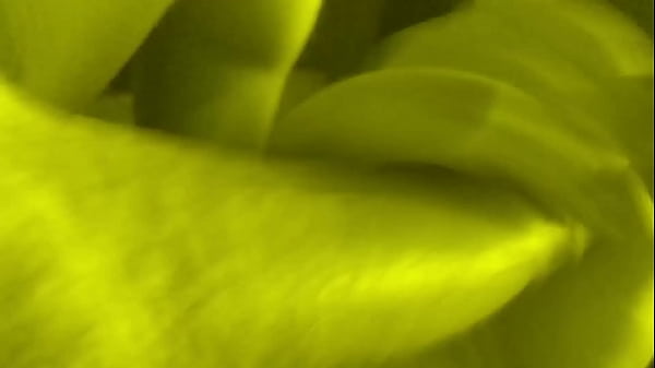 Make Yourself Cum Licking Her Well Fucked Pussy Yummy Cummie Creampies By Goddess Lana thumbnail