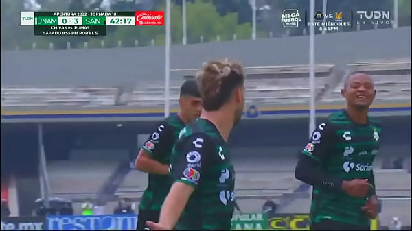 Gatita entrega su cola a un Guerrero