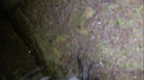 Play MP4 - 2016-12-01 01&period;35&period;17