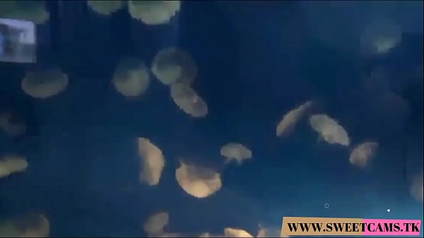 Dee DeeLynn takes a creampie after your POV virtual date with_hardcoresex WWWSWEETCAMS TK