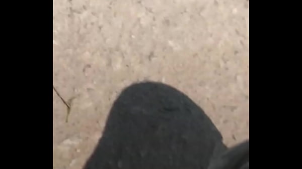 Joaninhas no sexo sem vergonha 