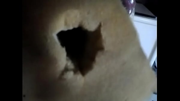 Play MP4 - vagina caseira