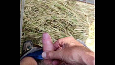Wank in the van, cum on the grass