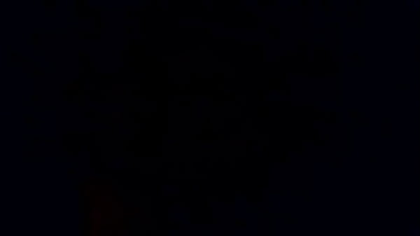 VID 20151224 011633333 