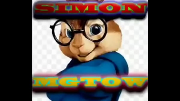 V&iacute_deo de verifica&ccedil_&atilde_o