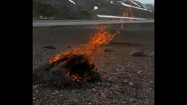 Doğrulama videosu