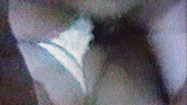 Abybunny se coje a dos_amigos de su esposo 2