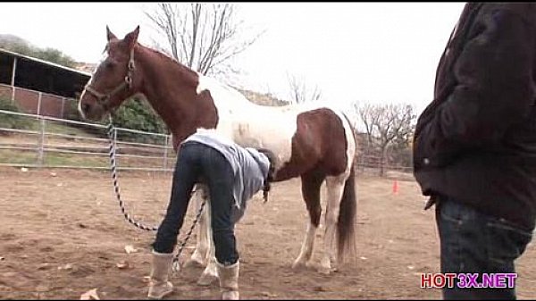 Hot3X.NET I.Love.Anal 03 