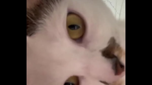 Why is this app so wild anyways this is momo 