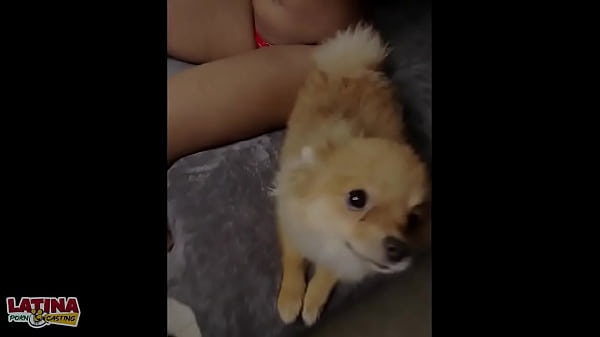 Valen hot very tiny very sexy babe drinks cum and takes big white cock from behind in first latina casting 