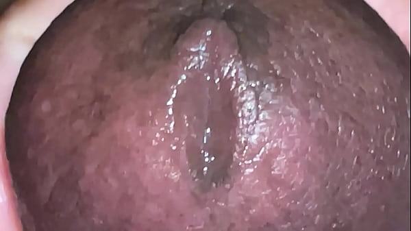 Play MP4 - Super close cumshot - Ultra close cum shot brown dick hard cock indian guy &num;superclose &num;cumshot &num;semen &num;sperm