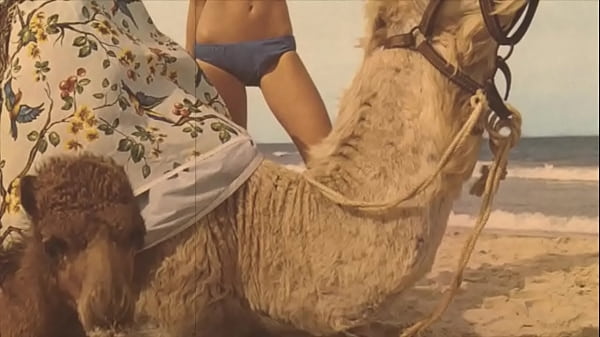 Play MP4 - Dark Lantern Entertainment presents 'Beauty And The Beast'