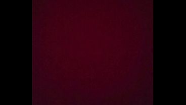 Video de v&eacute;rification 