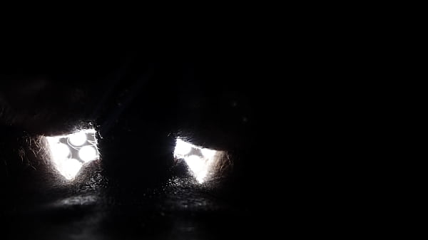 Penetration close up 