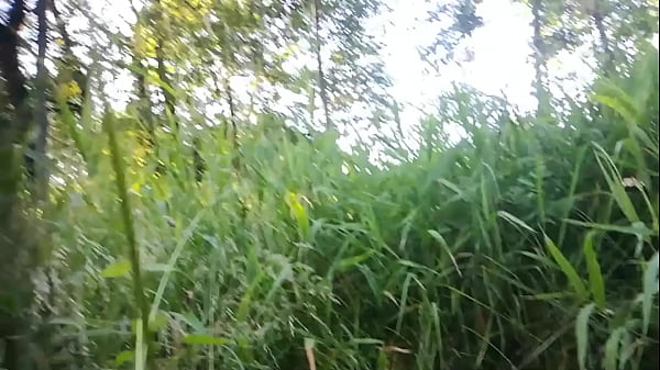 Play MP4 - in the nature