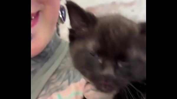 I love cats what's your favorite thing about cats #catlover #felinefriends #inkedandcuddly #tattoogirl #psyland 