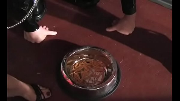 Nonton Serf Up And S. thumbnail