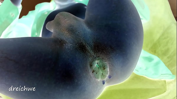 Efecto negativo perra gimiendo con semen en la cuca 