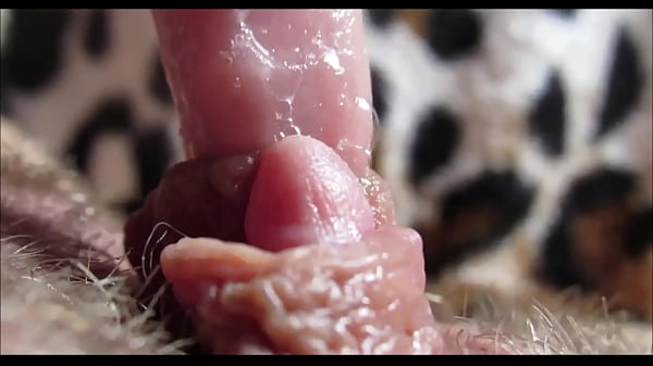 Big clit