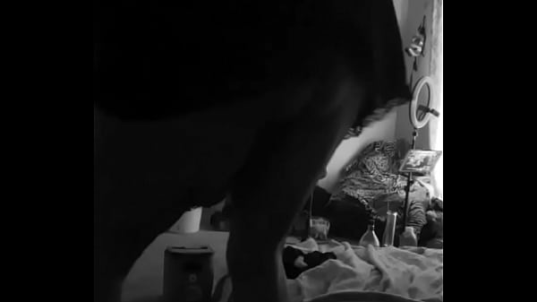 Nonton Giving You Early In The Morning Watch My Butt Move thumbnail