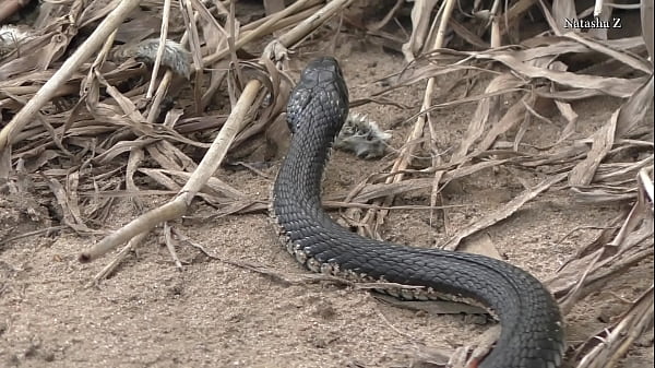 Natasha #13 she walks along the river bank