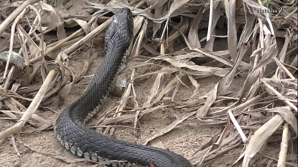Play MP4 - Natasha posing &num;13 Near a river
