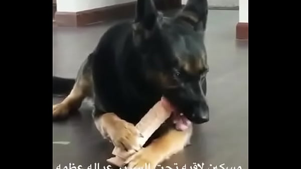 فيديو التحقق