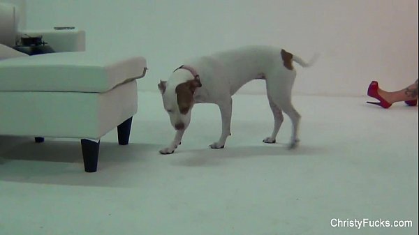 Play MP4 - Christy Mack On the porn set