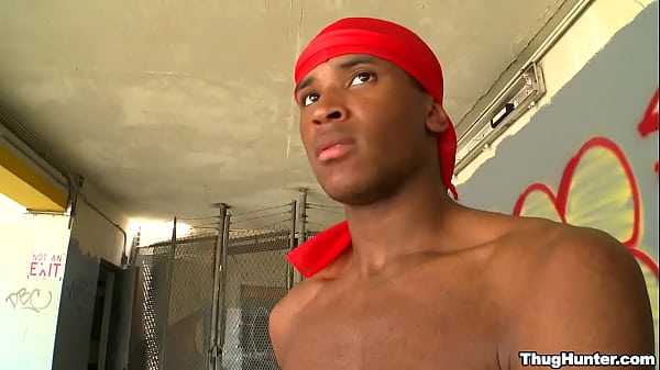 Play MP4 - THUG HUNTER - Jayden Heart Turning Tricks In The Hood