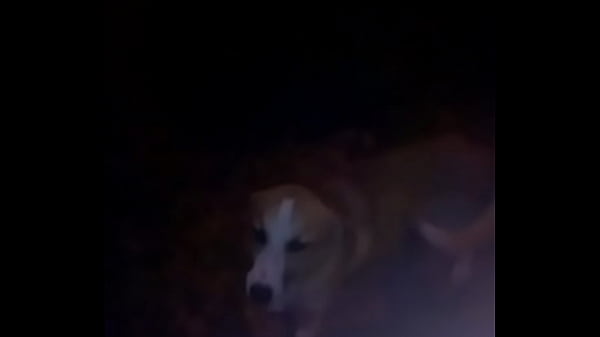 Nonton Pra Vcs Eu thumbnail