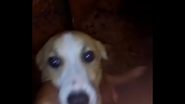 Nonton Pra Vcs Eu thumbnail