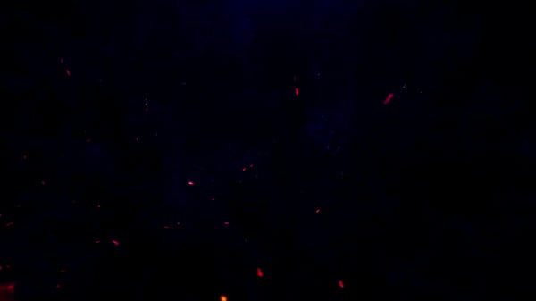 Nonton Sofia Grace Slut Gets A Hot Tap, For The First Time, Balls Deep, Bbc, thumbnail