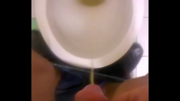 WP 20161120 03 56 30 Pro 