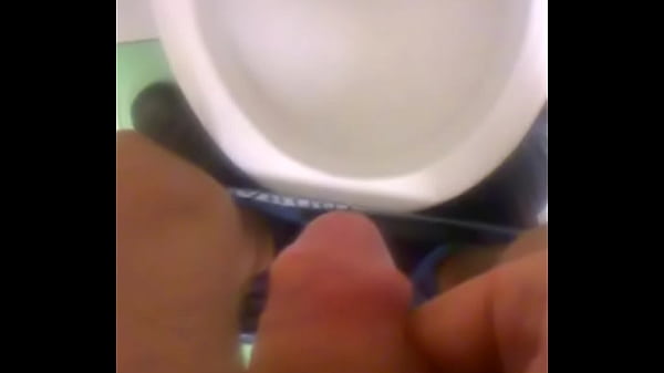 WP 20161120 03 56 30 Pro