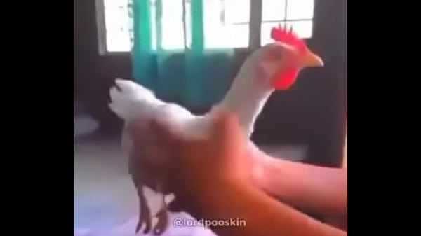 Nonton Shitpost 1 thumbnail