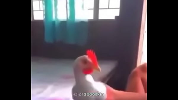 Shitpost 1 thumbnail