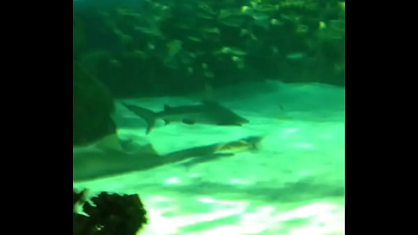 trim.5527A5FD-8423-455A-8324-28846D125266.MOV 