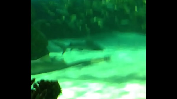 trim.5527A5FD-8423-455A-8324-28846D125266.MOV