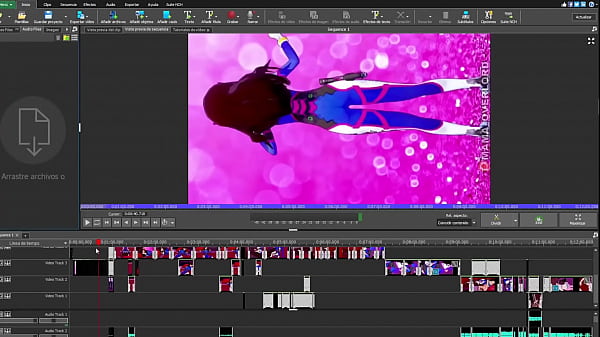 V&iacute;deo de verificaci&oacute;n 