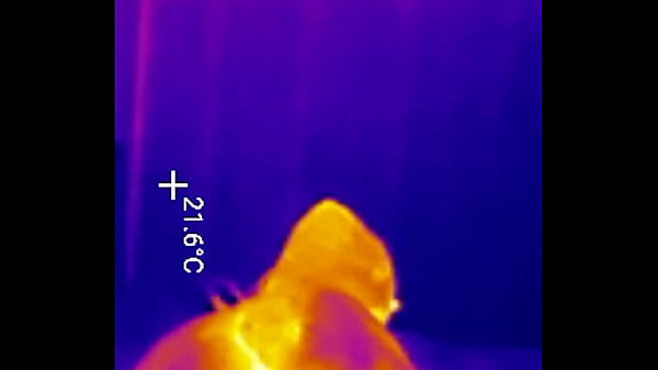 First time locked in chastity belt complete collection plus ass fingered deep then stuffed with 2 huge butt plugs 4k portrait 