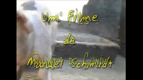 Play MP4 - 1&ordm; M&ecirc;s na Quinta da Conde - Melhores cenas